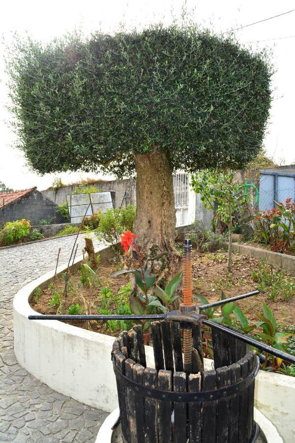 Cossourado  Casa Rebelo旅馆 外观 照片